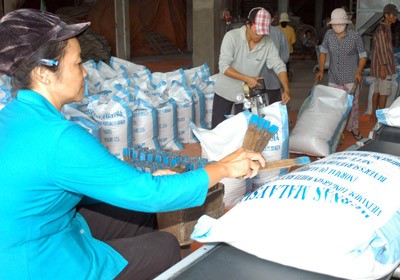 Rice being packed for export at Saigon Stake Enterprise in HCMC (Photo: SGGP)